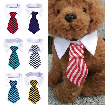 Hundkläder & Skor – Accessoarer för hundar