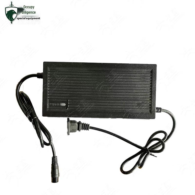 

Zhanqin Target Machine 48V Charger