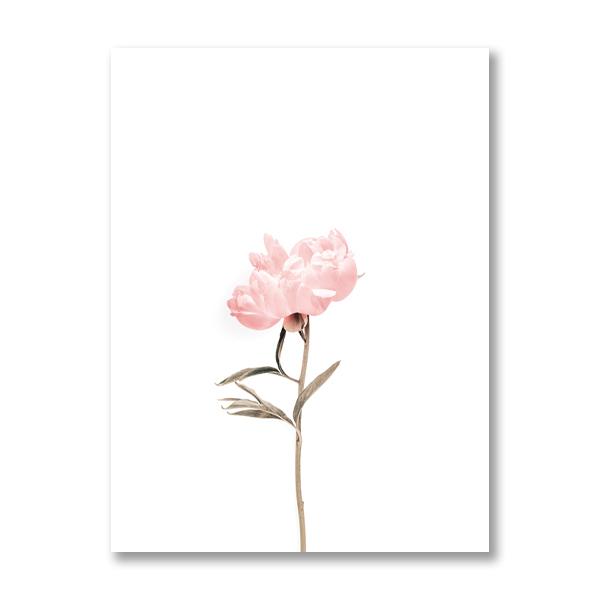 Pink Peonies Flower Posters and Prints Nordic Scandinavian Minimalist Wall Art Canvas Painting Floral Pictures for Room Decor