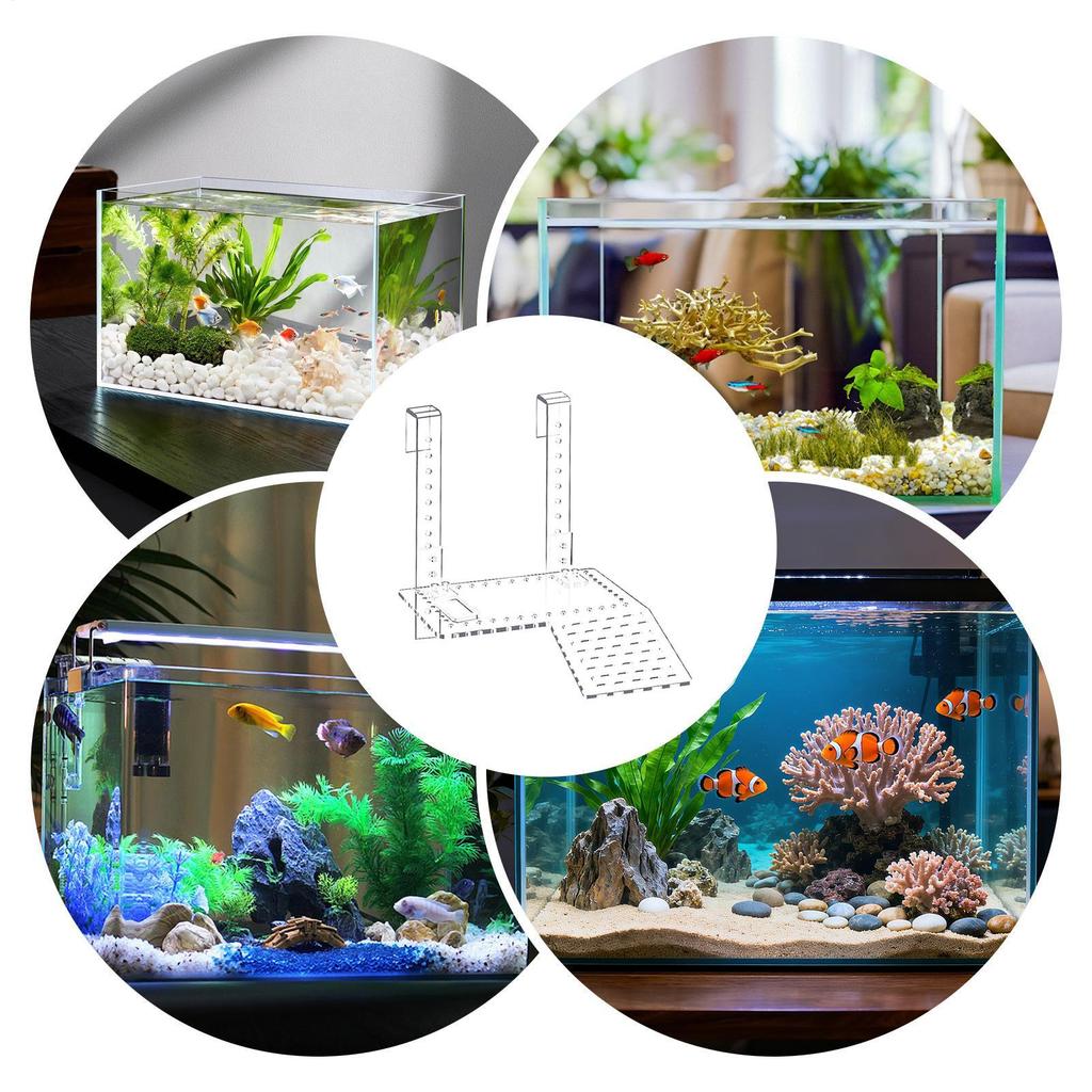 New Hanging Turtle Basking Transparent Perforated Climbing With Wide Hook For Small & Medium Turtle