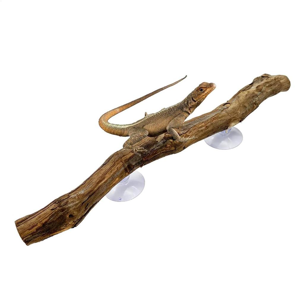 Reptile Climbing Corner Stick Non-slip Reptile Branches Terrarium Branches Reptile Decor Wooden Tree Trunk Ornament Habitat Deco