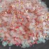 Sequin Glitter Mix Star Heart Dot Shaped Colorful Loose Sequins for Shaker Card NailArt Scrapbook Decoration Makeup Confetti