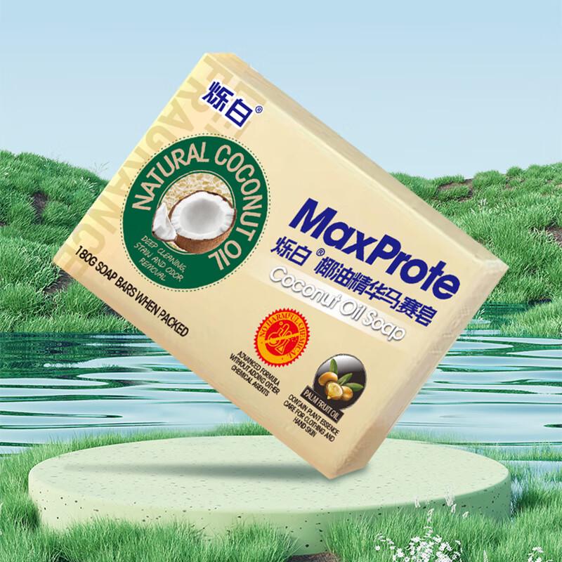 Lion Family Cleaning 4-Piece Set