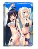 X Hojo Family Rebellion Arc Complete Limited Edition Switch Includes newly recorded drama CD X Momoiro Onsen Yomoyama and newly drawn acrylic ornament