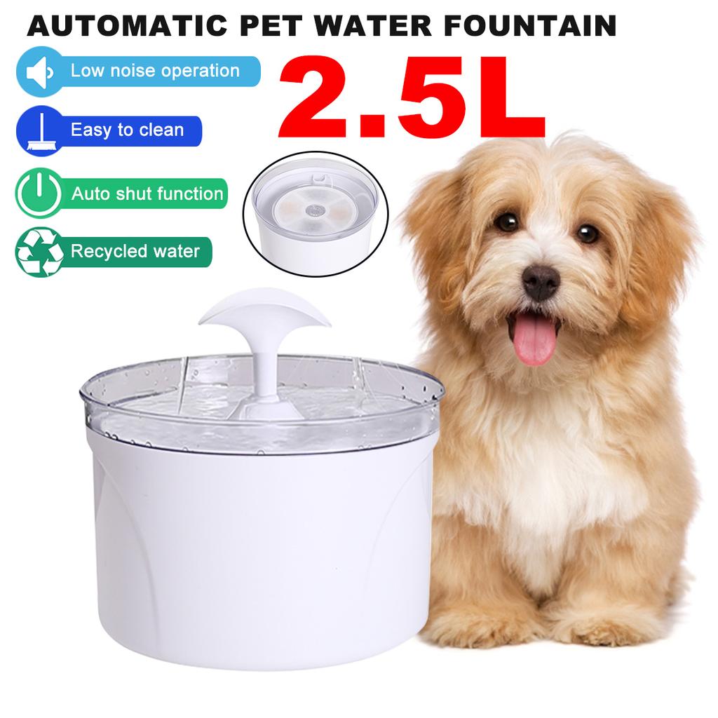 automatic pet waterer