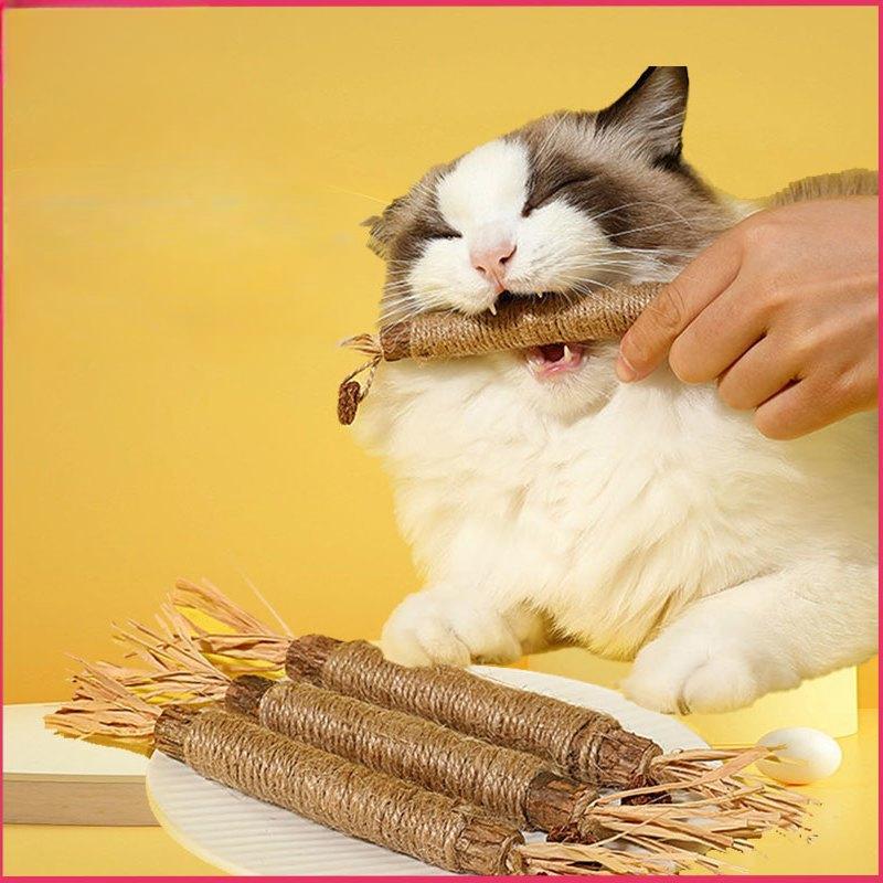 Mutian Polygonum Teething Stick Cat Toys Self-Help Relief Teasing Stick Bite-Resistant Catnip Balls Cat Supplies Cat Breeder's Artifacts