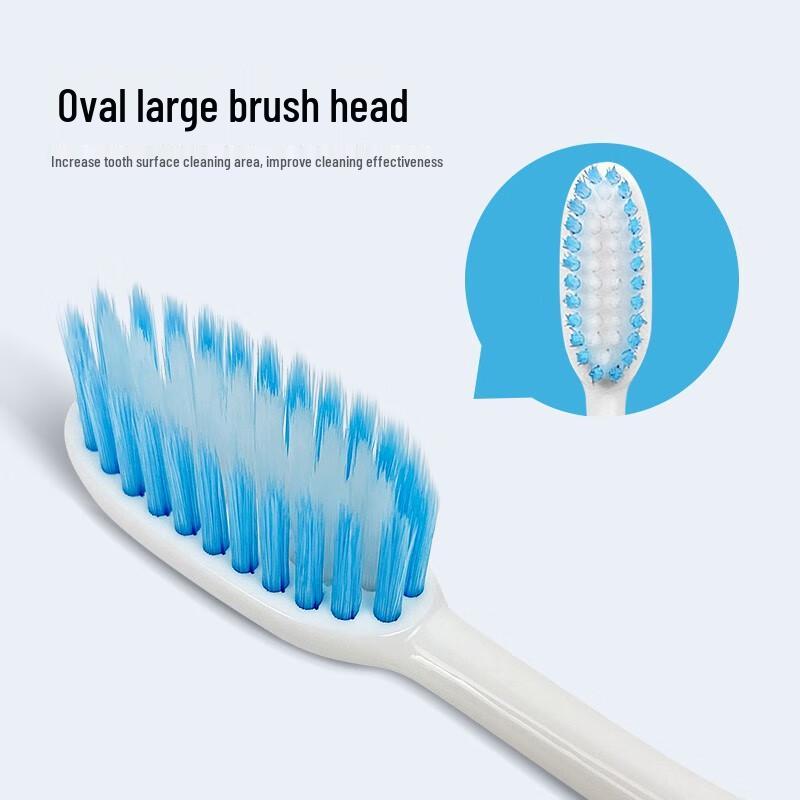 Frog Non-Slip Handle Toothbrush Set (24 Brushes)