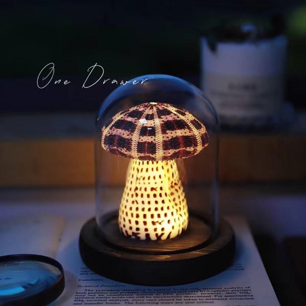 Soft Lighting Sea Urchin Lamp Handmade Night Light Ornament Idea Shell Lamp Indoor Room