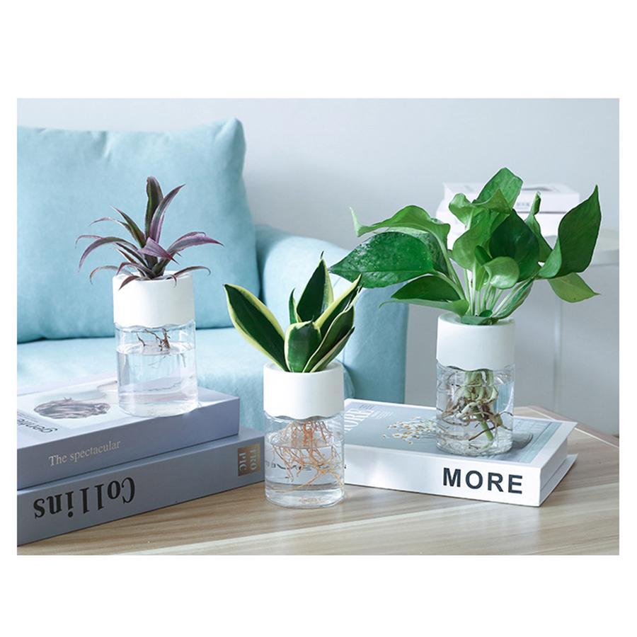 Hydroponic Nursery Pots Kit Seedling Plastic Plant Pot Gardening Accessories Garden Pots/pots Clear Plants Seeds Orchids System