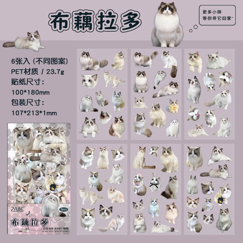 6 pcs Cute PET cat theme PET sticker bag handbag decoration stickers diy handbook material paper Scrapbooking Material