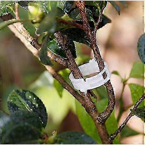 100 Pack Garden Plant Clips, Tie Plants Twine Vine Trellis Cages Vine Vegetable Tools Grafting to Grow Healthier Straight Plants - RIpj