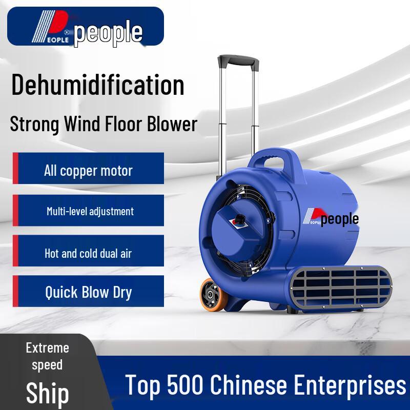 Dual Wind Floor Dryer with Timer - Hot & Cold Carpet and Toilet Blower