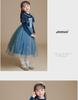 Elsa Princess Velvet Winter Dress for Girls - Thickened Skirt