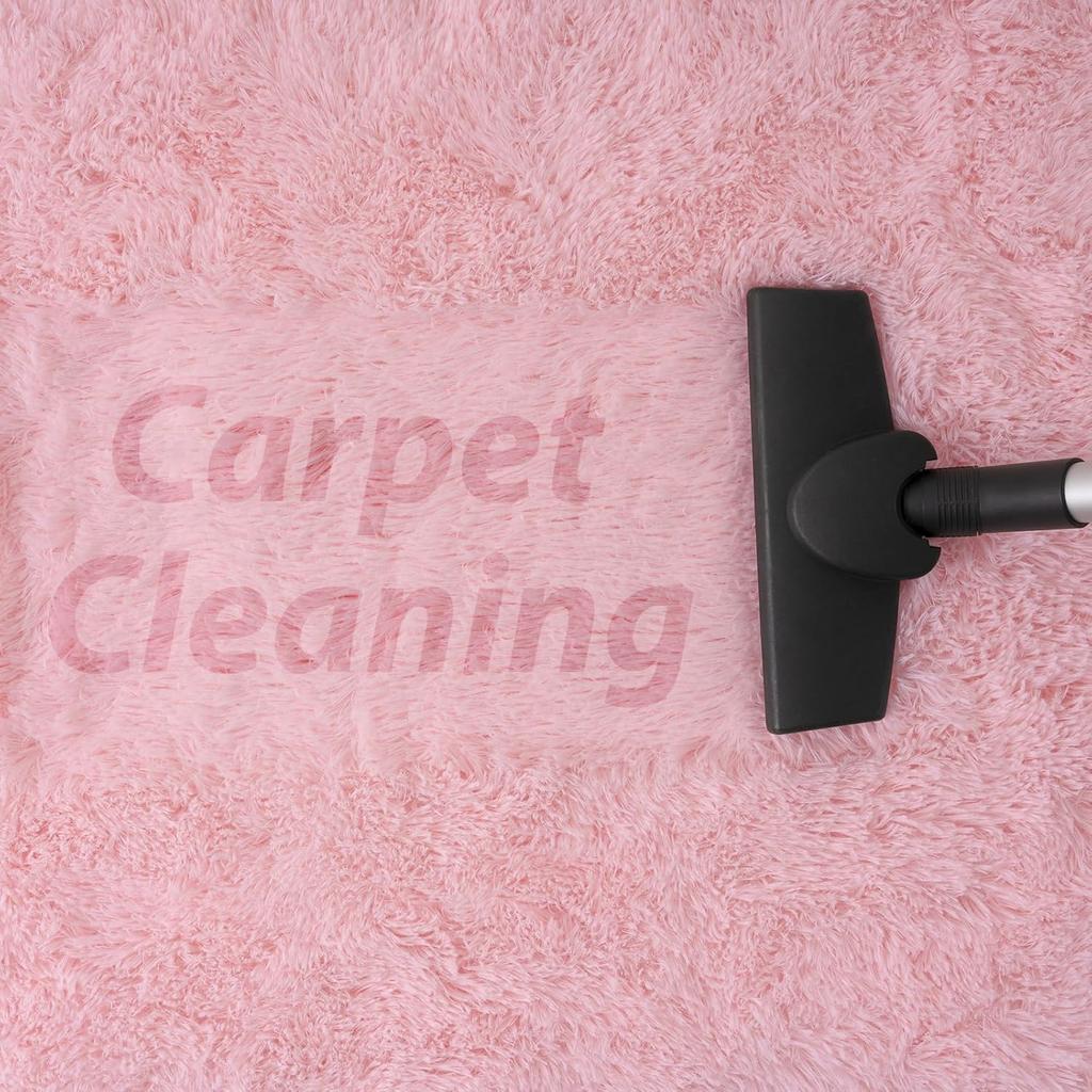 Oval Fluffy Carpet Ultra Soft Area Rugs for Bedroom Plush Shaggy Carpet for Kids Room Bedside Nursery Mats