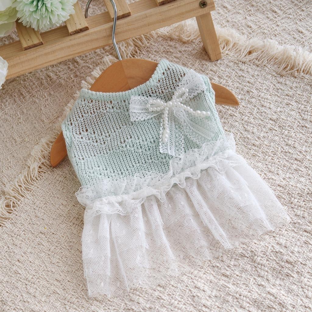 Spring and Summer New Style Pet Cat and Dog Clothes Sweet Teddy Bear-style Dress