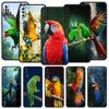 Parrot Bird Phone Case For Samsung Galaxy A56 A36 A26 A34 A17 A16 A06 A14 A12 A54 A72 A70 A30 A24 A22 A20e A52 A50 A40 A32 Cover