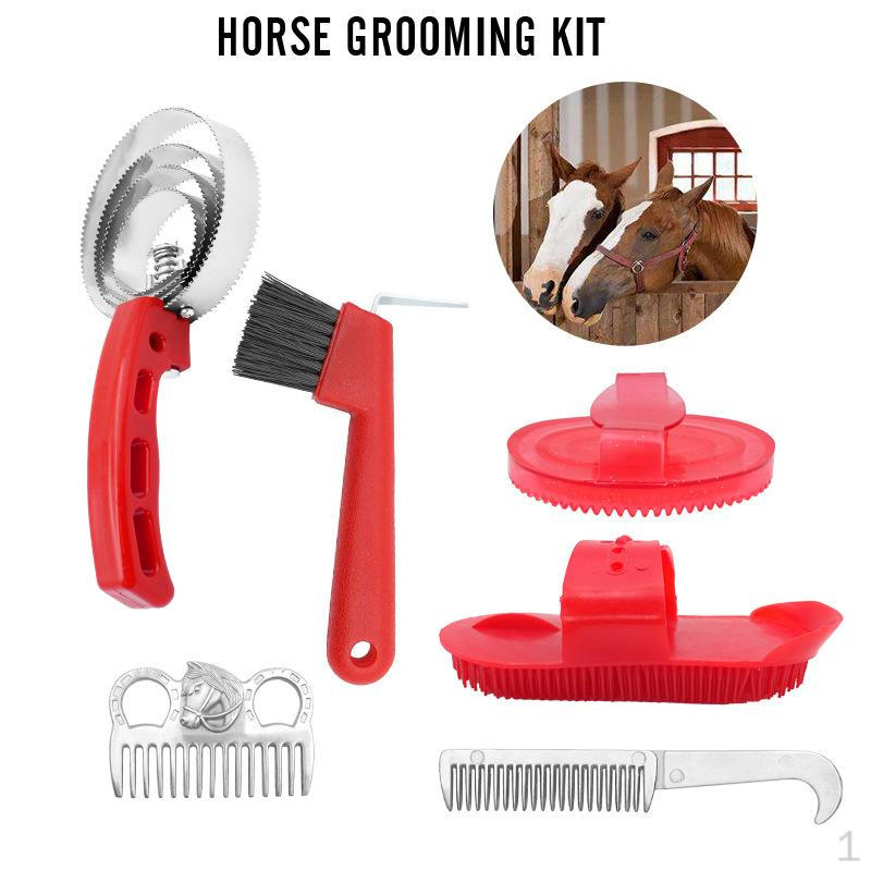 6-teiliges Pferde-Pflege-Set Reinigungs-Werkzeuge Geschenke Professionelles Bürsten-Set Pferde-Pflege-Zubehör für