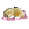 Dog Plush Sleep Toy Model Ornament Make Sound Lifelike Simulation Doll Gift