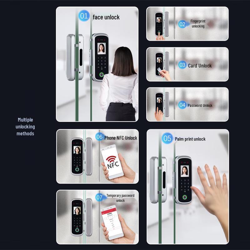 Realand ZD506 Smart Biometric Glass Door Lock CN plug (adapter included)