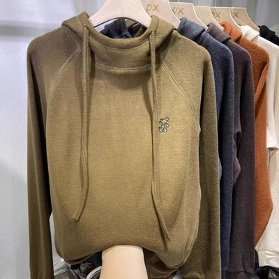 Nuevo Top de Manga Larga Otoño-Invierno con Doble Capa de Forro Polar y Capucha Interior, Sudadera Bordada de Corte Holgado para Mujer