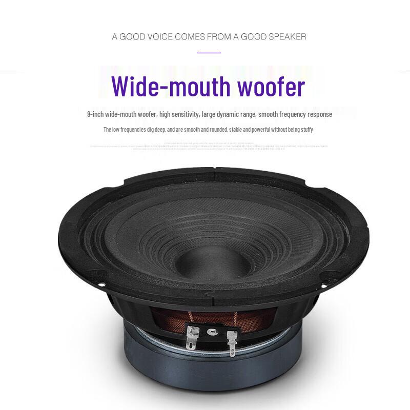 KAXISAIER S80S 8-inch Conference Speaker