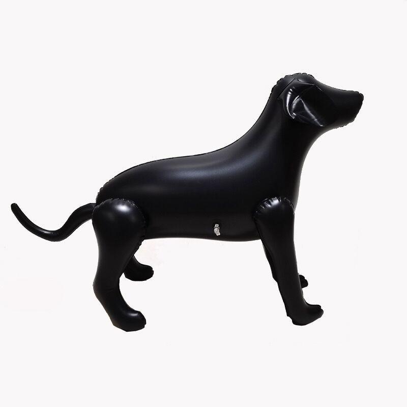 Inflatable PVC Dog Model for Pet Clothes Photography Display