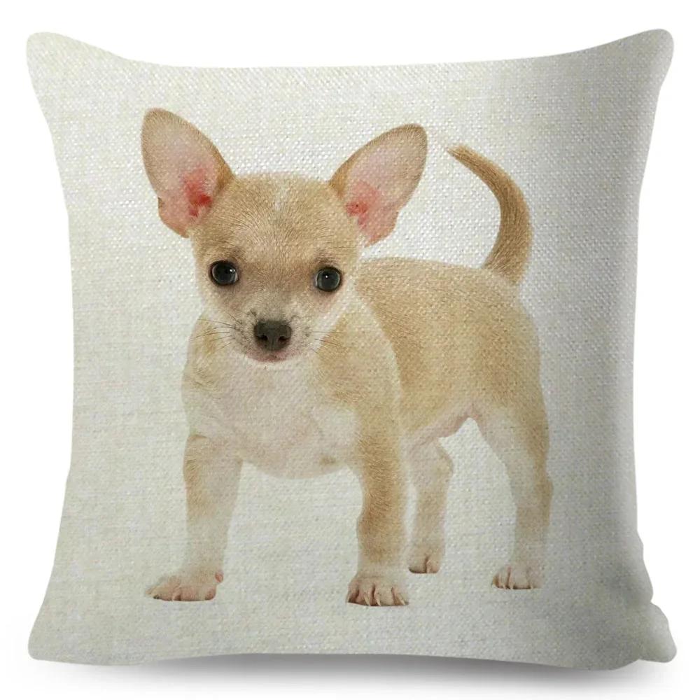 Cute Little Dog Chihuahua throw pillow cover with short plush print for living room sofa decoration cushion cover pillow covers