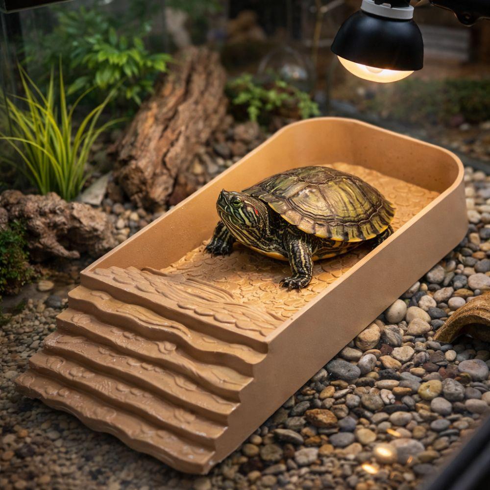 with Ramp Reptile Water Dish Plastic Bathing Pool Reptile Ramp Turtle Bath Basin  All Seasons