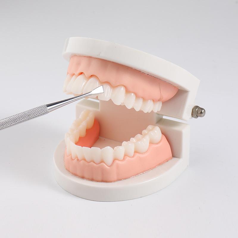 Dental Stainless Steel Tool Set: Probe, Mirror, Tartar Remover for Oral Care