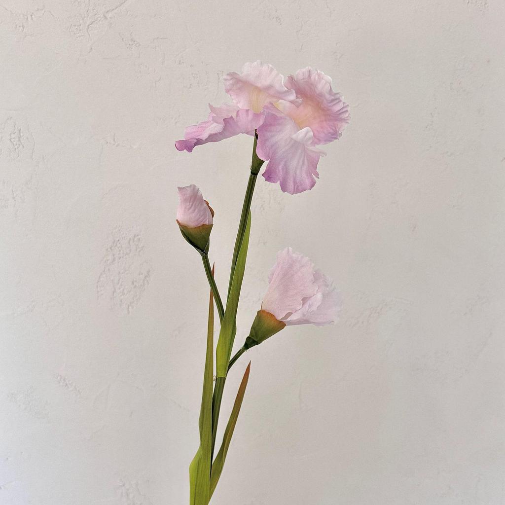 Alice Iris Artificial Flowers - Nordic Style Home & Hotel Decor, Soft Arrangement for Photography Background