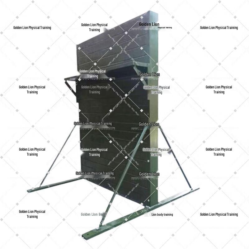 Golden Lion Collaborative Climbing Frame