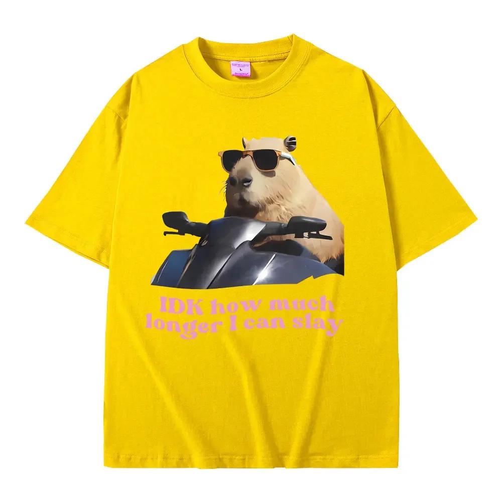 Idk How Much Longer I Can Slay Funny Capybara Meme Graphic Tshirts Women Casual Cozy Short Sleeve Female T Shirts S