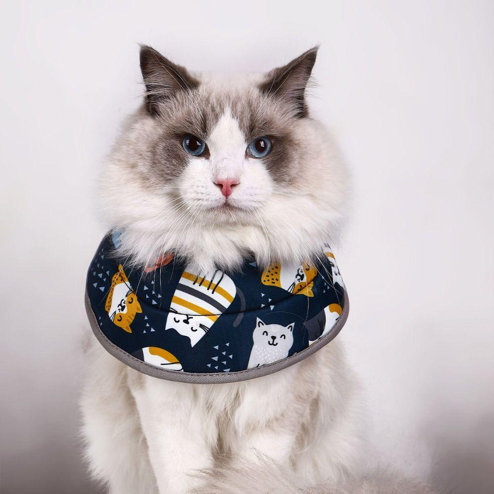 Nastavitelný kočičí rekonvalescenční límec Roztomilý mazlíček Alžbětinský límec Pohodlný kočičí ochranný límec Štěně