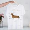 Dachshund Teckel Funny Cute Dog Animal Funny T Shirt Men New Casual Short Sleeve Tshirt Homme Manga Unisex T-shirt Tees