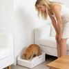 Litter Box, Portable Travel Litter Box For ,  Easy To Clean, Leak Proof Design, Ideal For Indoor And Outdoor Fun