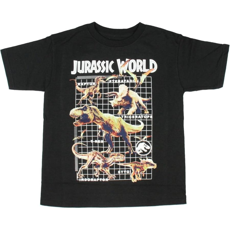 Jurassic World Boy s Multi-Dino Grid Kids T-Shirt S