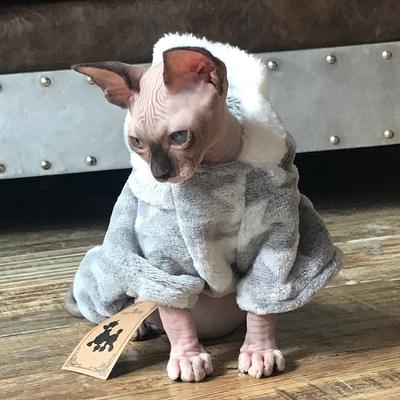 Autumn Winter Warm Pet Cat Costume for Cats Soft Fleece Dog Cat Clothes Kedi Katten Mastomas Clothing Pullovers