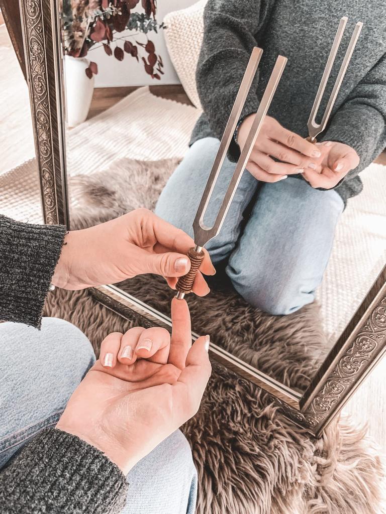 MEINL Sonic Energy Collection Planetary Tuned Tuning Fork 256 Hz C3 / TTF-256 []