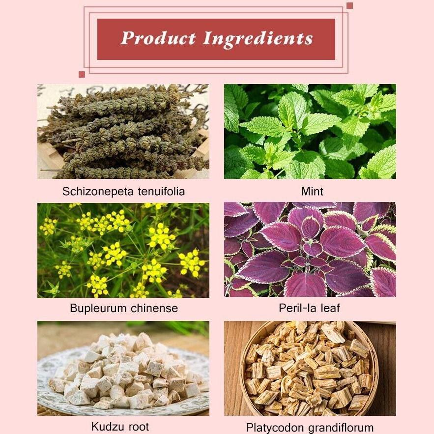 Winstown Anti-Typhoid Tea, Clearing Heat Detox Herbal Tea