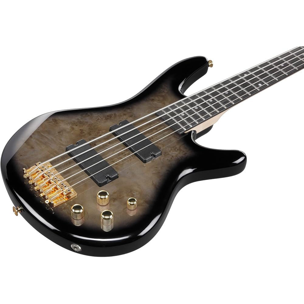 Ibanez GIO Series 5-String Electric Bass Transparent Pale Black Burst GSR205PC-TPB