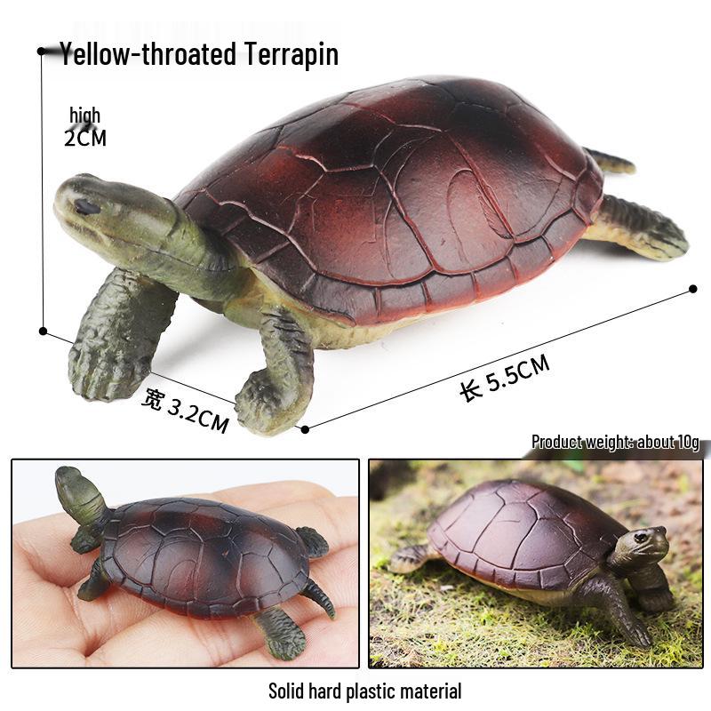 Children's Cognitive Marine Animal Models: Sea Turtle and Tortoise Toys
