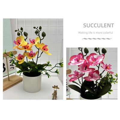 Mehrfarbige Schmetterlingsorchidee Künstliche Blumen Accessoires Kunststoff Falsche Schmetterlingsorchidee Getopft Grüne Blätter Foto Requisiten Simulation Bonsai