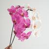 High Quality Luxury Flowers Latex 8 Heads Butterfly Orchids Artificial Real Touch Phalaenopsis Orchid Wedding Decor