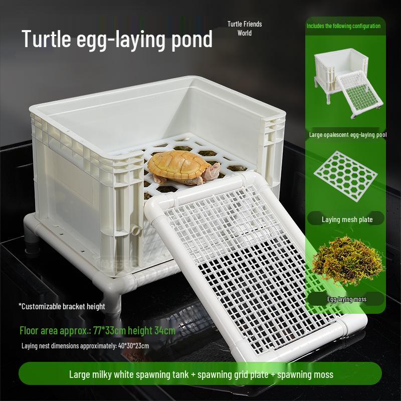 Turtle Egg-Laying Pond & Incubation Box with Basking Platform and Sand Pool