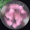 50pcs Small Size Natural Feathers Spotted Pattern Real Plumes Spotted Feathers Multicolo Natural Color Fake Eyelashes DIY