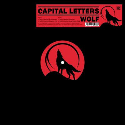 12inch Record CAPITAL LETTERS - Wolf FOD105V Sugar Shack Rec 2014 UK Reggae, Ska & Dub Used