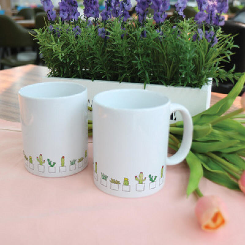 cb643-Design Mug 2p-Cactus Line