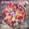 Calendar 2026: Shogo Kariyazaki's World of Flowers (Monthly/Wall Hanging/Ikebana) (Yamakei Calendar 2026)