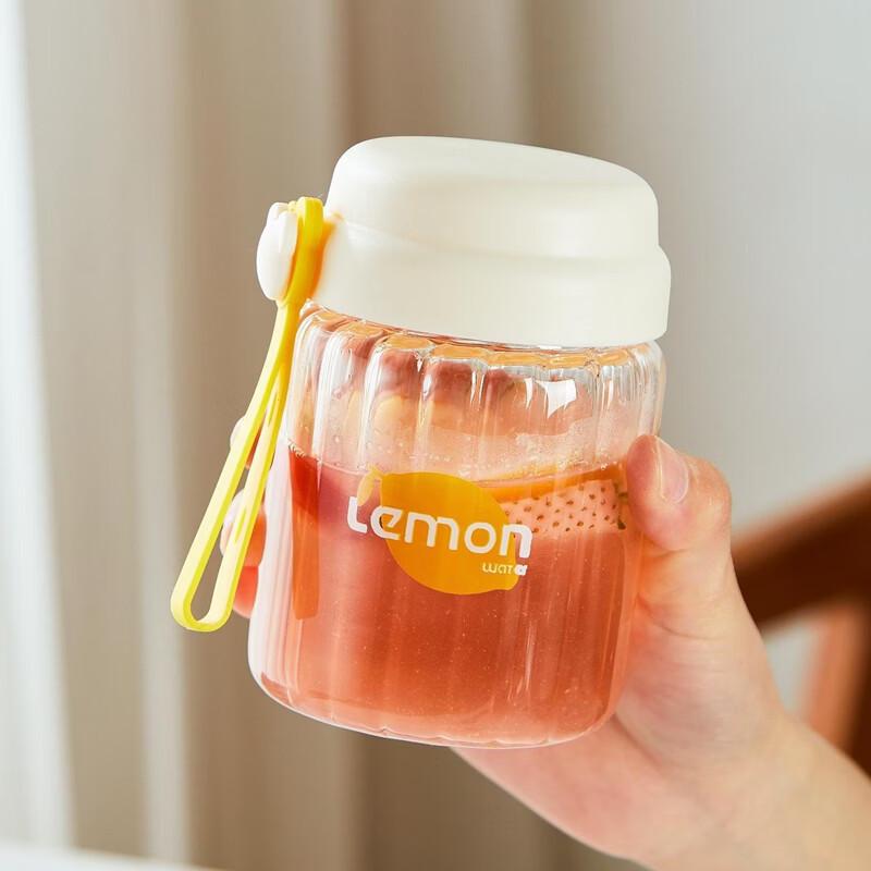 Bouteille d'eau portable en verre borosilicaté avec couvercle et poignée en corde