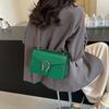 New High-end Light Luxury Solid Color Chain Bag Single Shoulder Oblique Span Trendy Women's Bag